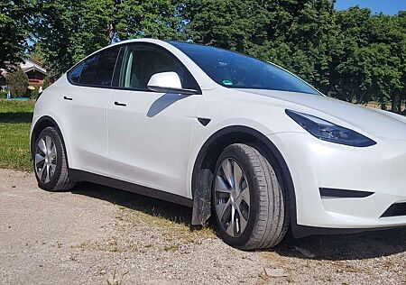 Tesla Model Y RWD, AHK, 8-fach bereift, BYD-Akku