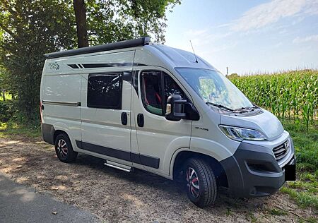 Fiat Ducato L2H2 DPF 250.5Q2.0 Panorama