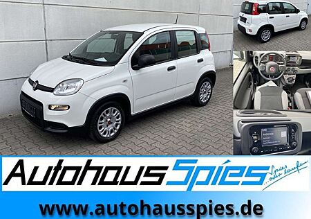 Fiat Panda 1.0 Mild Hybrid Base Klima DAB