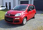 Fiat Panda Pop/Klima/Servo/2. HD/wenig Kilometer