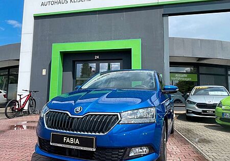 Skoda Fabia CLEVER 1,0 TSI 70 kW 95 PS AHK