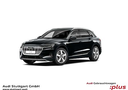 Audi e-tron 55 quattro advanced Keyless virtCo Kamera