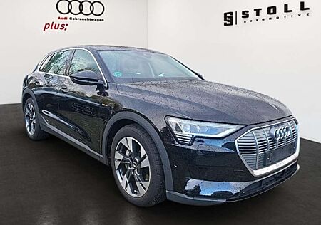 Audi e-tron 50 quattro basis HUD+RFK+VirtualCockpit+MMI Plus++