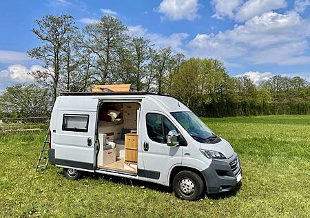 Fiat Ducato Van L2H2 / Selbstausbau mit Dachterrasse