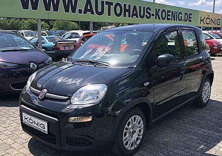 Fiat Panda MY24 1.0 Klima PDC Komfortpaket