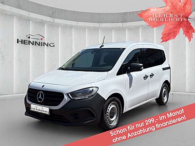Mercedes-Benz Citan 110 CDI Tourer Kamera Schiebetür Totw Klim