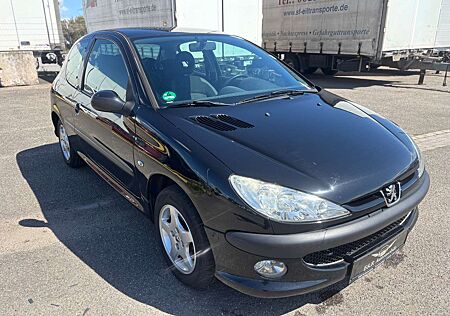 Peugeot 206 Grand Filou Cool