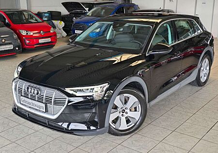 Audi e-tron 50 quattro AIR-SUS MATRIX ACC 19"Soundsys