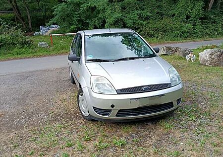 Ford Fiesta Viva X