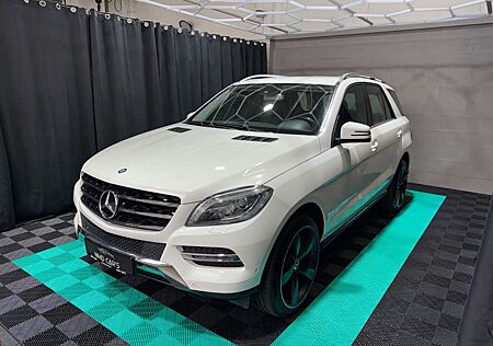 Mercedes-Benz ML 250 ML CDI BlueTec LED/SHZ/AHK/21-ZOLL