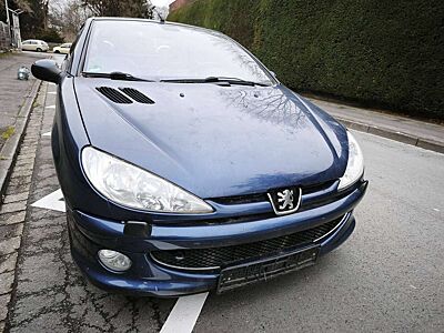 Peugeot 206 206 CC 110 Platinum