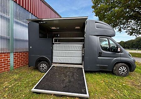 Peugeot Boxer BA Tier-/Pferdetransport AHK