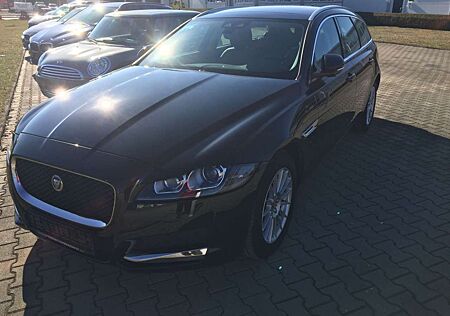 Jaguar XF Sportbrake Aut., Navi, Leder, Panoramadach