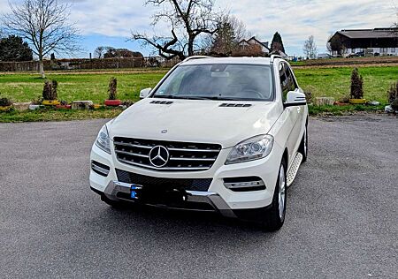Mercedes-Benz ML 250 BlueTEC 4MATIC 7G-TRONIC