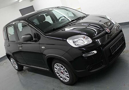 Fiat Panda 1.0 GSE Mild Hybrid Klima Aktionspreis!