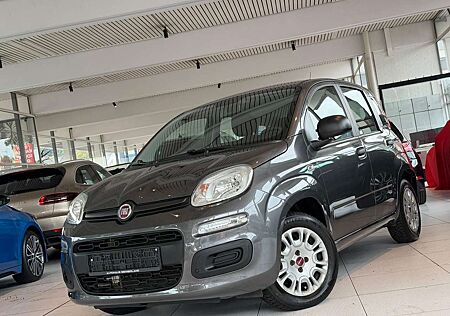 Fiat Panda Easy/Sehr gepflegt/Inspektion Neu!