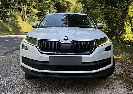Skoda Kodiaq 2.0 TDI 4x4 DSGAmbition
