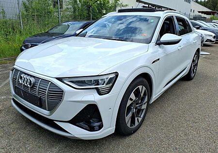 Audi e-tron 55 Q 2x S LINE ACC/HuD/PANO/MTRX/B&O/AHK