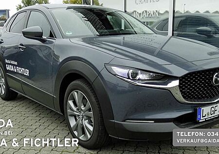 Mazda CX-30 e-SKYACTIV G 140PS Centre-line Design-Paket
