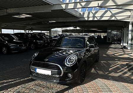 Mini ONE Blackyard