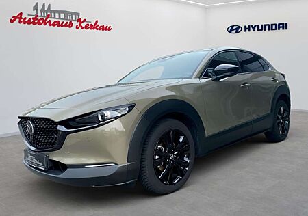 Mazda CX-30 e-SKYACTIVE X 186 SKYACTIV-Drive AWD NAGISA