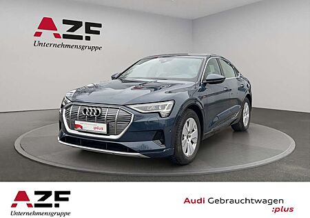 Audi e-tron 55 quattro advanced NAVI+LED+PA