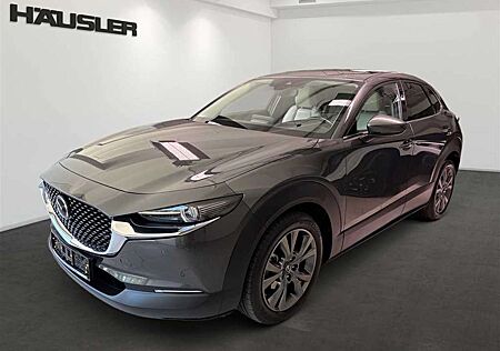 Mazda CX-30 Selection 2.0 Automatik Leder Kamera Schiebedach