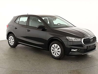 Skoda Fabia Selection 1.0 TSI Selection, Park, Winterpaket,...