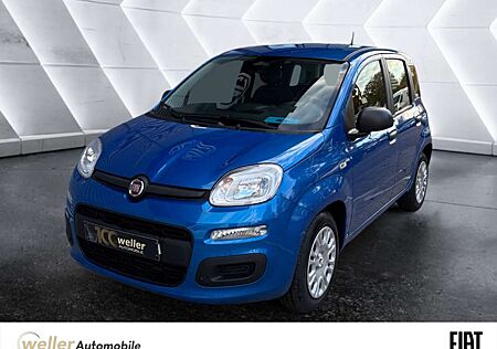 Fiat Panda 1.0 Mild-Hybrid ''Pandina'' Parksensoren Klima Blu