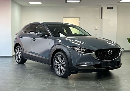 Mazda CX-3 0 Selection AWD*SHZ*LEDER*NAVI*KAMER*HUD*GSD