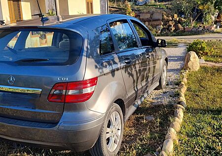 Mercedes-Benz B 180 cdi Executive