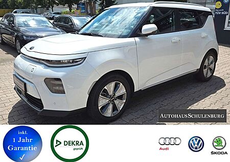 Kia Soul Spirit Wärmepumpe Harman-Kardon ACC