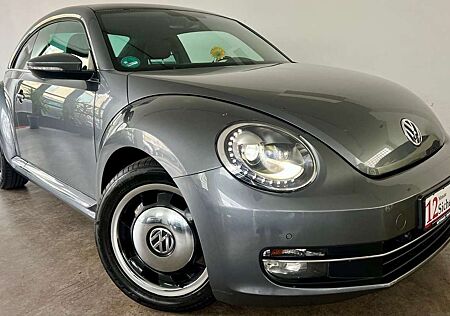 VW Beetle Volkswagen Lim. Cup BMT Panorama Xenon NAVI PDC
