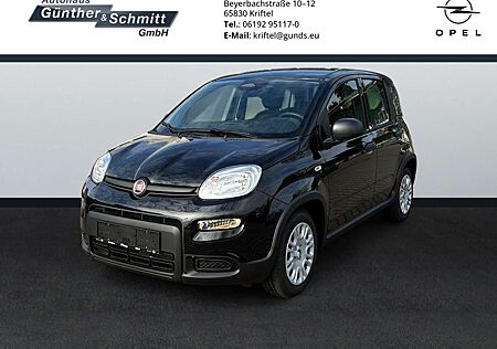 Fiat Panda 1.0 Pandina