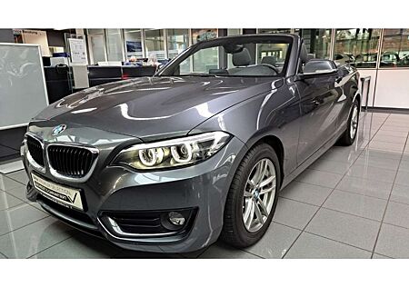 BMW 218 Advantage EU6d-T i Cabrio SHZ Park Assi LED HIFI