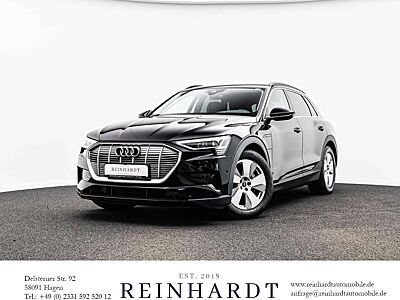Audi e-tron 55 Q LED/19Z/DAB/NAVI+/CARPLAY/DSP/eSITZE