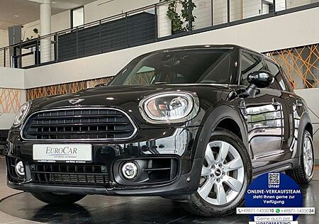 Mini Cooper Countryman Cooper Pepper Navi Kamera Sitzhzg LED