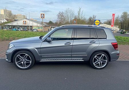 Mercedes-Benz GLK 220 CDI /Autom/Navi/Kamera/Standheizung