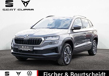 Skoda Others