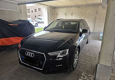 Audi A4 basis