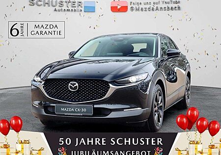 Mazda CX-30 Homura 2.5l Navi/Head-Up/LED-Licht/Kamera/