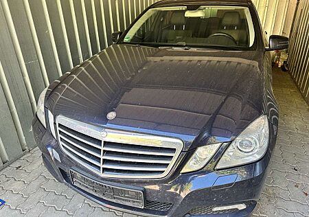 Mercedes-Benz E 250 CDI DPF BlueEFFICIENCY Avantgarde