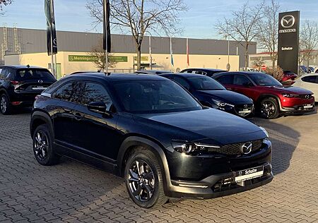Mazda MX-30 e-SKYACTIV Advantage Allwetterbereifung