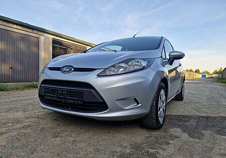 Ford Fiesta 1,2l 4 Zylinder