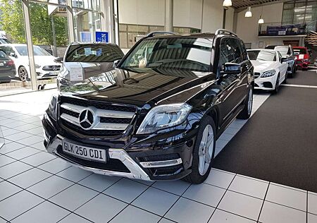 Mercedes-Benz GLK 250 AMG BLUETEC 4MATIC AUT XENON NAVI TEMPO