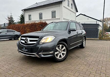 Mercedes-Benz GLK 200 CDI Automatik NAVI*TEMPOMAT*AHK*17"