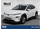 Hyundai Kona Style Elektro 2WD Navi Soundsystem LED Scheinwerfe