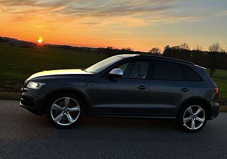 Audi SQ5 3.0 TDI quattro tiptronic competition
