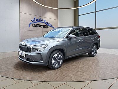 Skoda Kodiaq 2,0TDI DSG 4x4 AHK/4*J.Gar/Navi/el.Klappe/Kamera
