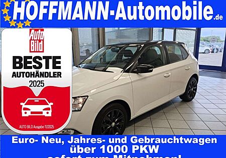 Skoda Fabia Style Kamera,App-Connect,Sitzheizung,Alu